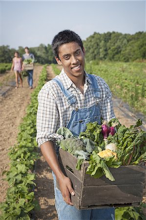 simsearch:6118-07351921,k - A boy holding a large wooden box of fresh vegetables, harvested from the fields. Foto de stock - Sin royalties Premium, Código: 6118-07351907