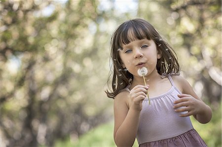 simsearch:6118-07352198,k - A girl blowing a dandelion clock. Stock Photo - Premium Royalty-Free, Code: 6118-07352179