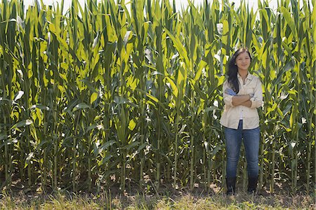 simsearch:6118-07352114,k - A young woman standing with arms folded, in front of a very tall maize, corn crop in the field. Foto de stock - Sin royalties Premium, Código: 6118-07352103