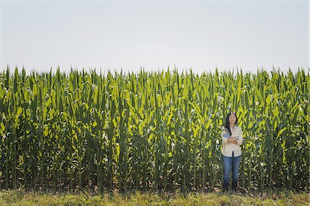 simsearch:6118-08220583,k - A young woman standing with arms folded, in front of a very tall maize, corn crop in the field. Stock Photo - Premium Royalty-Free, Code: 6118-07352104