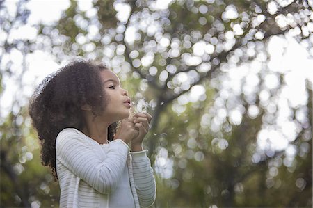 A young girl holding and blowing a dandelion seed head clock. Stockbilder - Premium RF Lizenzfrei, Bildnummer: 6118-07352211