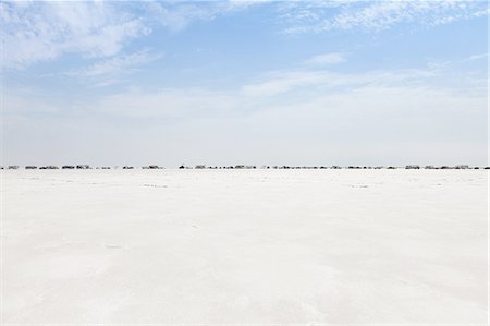 salt pan - Spectators lined up on Bonneville Salt Flats during Speed Week Stock Photo - Premium Royalty-Free, Code: 6118-07352514