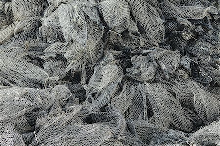 Nets used for shellfish aquaculture in oyster beds. Oysterville USA Foto de stock - Sin royalties Premium, Código: 6118-07352659