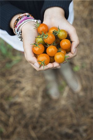 simsearch:6118-07353360,k - Organic Farming. A girl holding a handful of ripe cherry tomatoes. Stock Photo - Premium Royalty-Free, Code: 6118-07352617