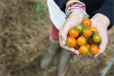 simsearch:6118-07352477,k - Organic Farming. A girl holding a handful of ripe cherry tomatoes. Stock Photo - Premium Royalty-Free, Code: 6118-07352618