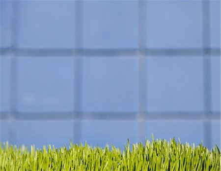 simsearch:622-06900717,k - A building wall with  lush green grass in the foreground. Seattle, Washington, USA Stock Photo - Premium Royalty-Free, Code: 6118-07352802