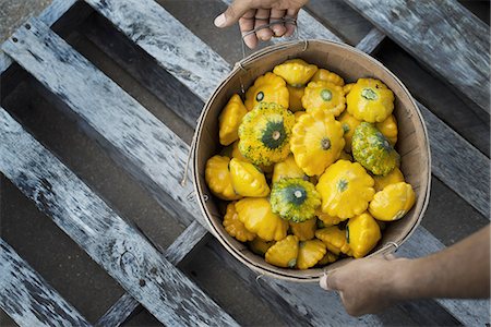 fresh vegetables in basket - Organic Patty Pan Squash just harvested Stock Photo - Premium Royalty-Free, Code: 6118-07352933