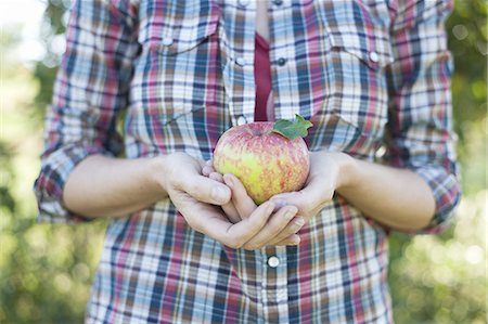 simsearch:6118-07440277,k - A woman in a plaid shirt holding a large apple in her cupped hands at an organic fruit farm. Stock Photo - Premium Royalty-Free, Code: 6118-07353008