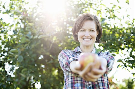 A woman in a plaid shirt holding a freshly picked apple in her two hands,  in the orchard at an organic fruit farm. Photographie de stock - Premium Libres de Droits, Code: 6118-07353017