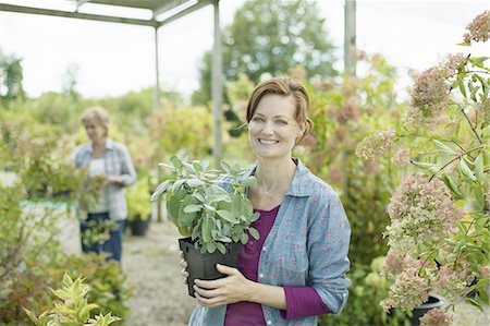 simsearch:6118-07354190,k - Two women working in a plant house or greenhouse at an organic farm. Foto de stock - Sin royalties Premium, Código: 6118-07353016