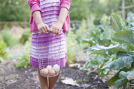 simsearch:6118-08729268,k - A young girl holding a wire basket of fresh hen's eggs, white and brown, in an organic vegetable patch. Photographie de stock - Premium Libres de Droits, Code: 6118-07353031