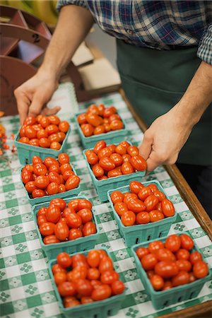 Organic Farmer at Work. A young man arranging a row of punnets of tomatoes. Stock Photo - Premium Royalty-Free, Code: 6118-07353344