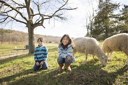 Two children at an animal sanctuary, in a paddock with sheep. Stock Photo - Premium Royalty-Free, Code: 6118-07353471