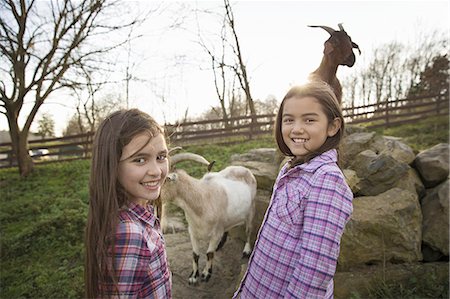 Two children, young girls, in the goat enclosure at an animal sanctuary. Stockbilder - Premium RF Lizenzfrei, Bildnummer: 6118-07353480