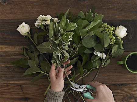 A woman holding secateurs and cutting the base of flower stems for a flower arrangement of white roses and green foliage. Stock Photo - Premium Royalty-Free, Code: 6118-07353505