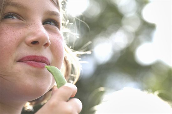 A child, a young girl eating a freshly picked organic snap pea in a garden. Photographie de stock - Premium Libres de Droits, Le code de l’image : 6118-07353612
