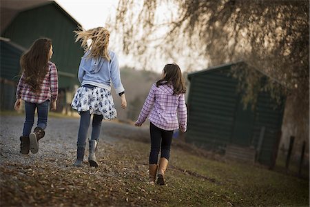 simsearch:6118-07235277,k - Three children walking along a path on an organic farm. Stockbilder - Premium RF Lizenzfrei, Bildnummer: 6118-07353777