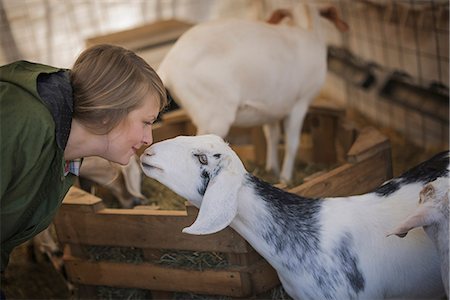 A woman in a stable on an organic farm.  White and black goats. Photographie de stock - Premium Libres de Droits, Code: 6118-07353784