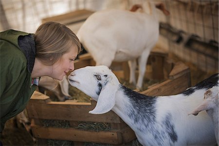 simsearch:6118-07354209,k - A woman in a stable on an organic farm.  White and black goats. Stock Photo - Premium Royalty-Free, Code: 6118-07353784