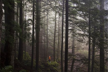 A man stands on a mossy rock overlooking a thick forest on a foggy morning near North Bend, Washington. Stock Photo - Premium Royalty-Free, Code: 6118-07353843