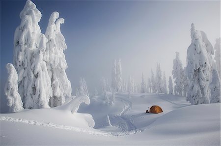 A bright orange tent among snow covered trees, on a snowy ridge overlooking a mountain in the distance. Fotografie stock - Premium Royalty-Free, Codice: 6118-07353841