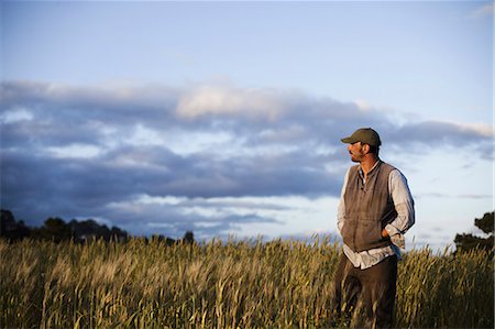 A man standing looking over the crops and fields at the Homeless Garden Project in Santa Cruz, at sunset. Stock Photo - Premium Royalty-Free, Code: 6118-07353825