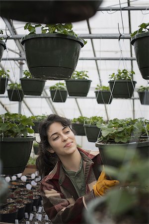 simsearch:6118-07351528,k - Spring growth in an organic plant nursery glasshouse. A woman working, checking plants and seedlings. Stock Photo - Premium Royalty-Free, Code: 6118-07354167