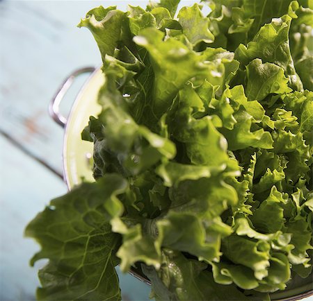 photograph of lettuce - A tabletop with a bowl of salad leaves. Foto de stock - Sin royalties Premium, Código: 6118-07354178