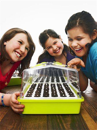 simsearch:6118-07354242,k - Three children leaning excitedly over a freshly planted seed tray with a cover on a table. Photographie de stock - Premium Libres de Droits, Code: 6118-07354244