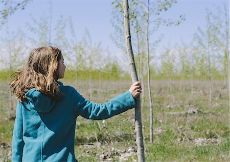 plant nursery - Ten year old girl standing next to commercially grown poplar tree on large tree farm, near Pendleton, Oregon. Stock Photo - Premium Royalty-Free, Code: 6118-07354259