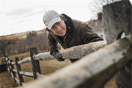 simsearch:6118-07354199,k - A man leaning against a post and rail fence on a farm in winter. Foto de stock - Royalty Free Premium, Número: 6118-07354201