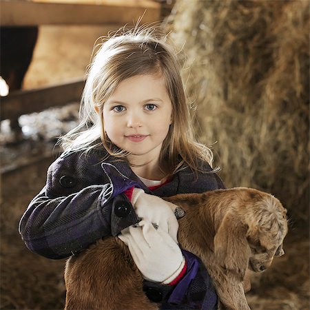 A child in the animal shed holding and stroking a baby goat. Stockbilder - Premium RF Lizenzfrei, Bildnummer: 6118-07354208