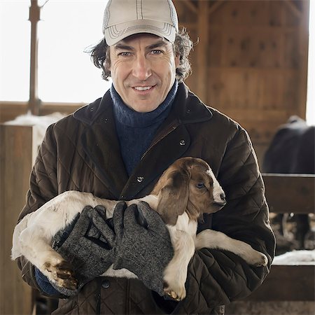 simsearch:6118-07122250,k - A man holding a small kid goat in his arms in a livestock pen. Photographie de stock - Premium Libres de Droits, Code: 6118-07354210