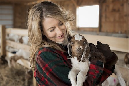 A woman cradling a young goat kid in her arms, on a farm. Photographie de stock - Premium Libres de Droits, Code: 6118-07354211