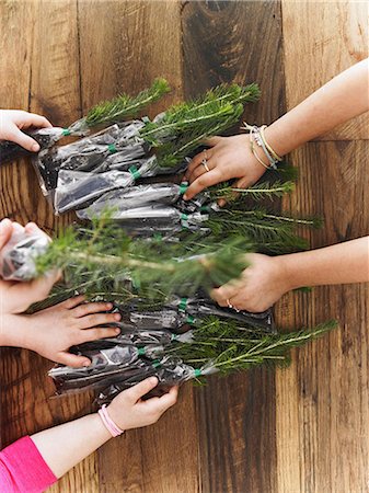 Rows of small evergreen seedlings laid on a tabletop. Three children sorting them out. Photographie de stock - Premium Libres de Droits, Code: 6118-07354237