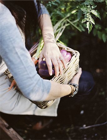 people in garden - A young woman in a vegetable garden, carrying a basket with freshly harvested organic vegetables, peppers and egg plant. Photographie de stock - Premium Libres de Droits, Code: 6118-07354398