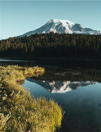 simsearch:6118-07731835,k - View of Mount Rainier from Reflection Lakes at dawn in Mount Rainier national park. Photographie de stock - Premium Libres de Droits, Code: 6118-07354300