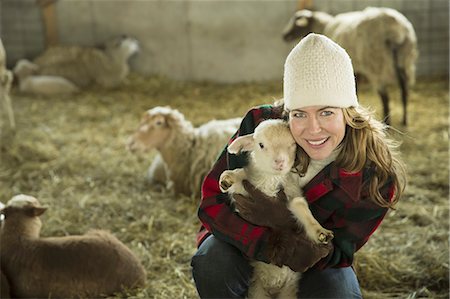 An Organic Farm in Winter in Cold Spring, New York State. A family working caring for the livestock. A woman holding a small lamb. Foto de stock - Sin royalties Premium, Código: 6118-07354441