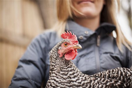 A woman wearing a grey coat and holding a chicken. Stock Photo - Premium Royalty-Free, Code: 6118-07354592