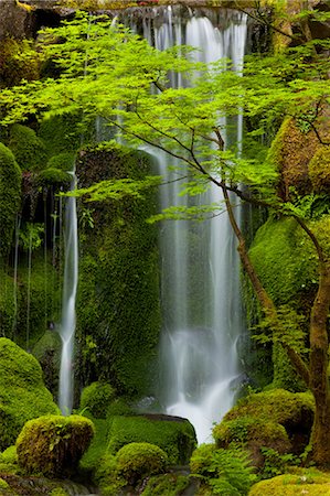 simsearch:6118-07440511,k - Waterfall, Columbia River Gorge, Oregon, USA Foto de stock - Sin royalties Premium, Código: 6118-07440110