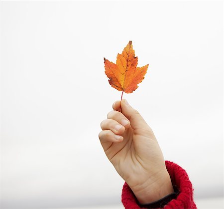 A day out at Ashokan lake. A young girl in a red winter knitted jumper holding up a maple leaf. Photographie de stock - Premium Libres de Droits, Code: 6118-07440272