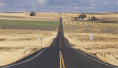 palouse - A straight rural road through crops fields, stretching into the distance at  Palouse, Washington Stockbilder - Premium RF Lizenzfrei, Bildnummer: 6118-07440445