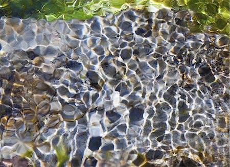 pattern nature usa not people - Light and shadow on ripples in a shallow section of the Sol Duc River, Olympic National Park, USA Photographie de stock - Premium Libres de Droits, Code: 6118-07440469