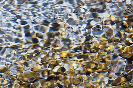 simsearch:878-07442526,k - Light and shadow on ripples in a shallow section of the Sol Duc River, Olympic National Park, USA Photographie de stock - Premium Libres de Droits, Code: 6118-07440470