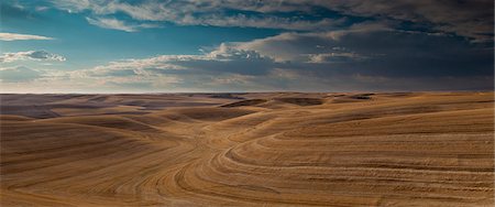 rolling hills washington - Farmland landscape, with ploughed fields and furrows in Palouse, Washington, USA Stock Photo - Premium Royalty-Free, Code: 6118-07440474