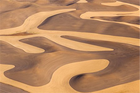 simsearch:6113-06498416,k - Farmland landscape, with ploughed fields and furrows in Palouse, Washington, USA. An aerial view with natural patterns. Photographie de stock - Premium Libres de Droits, Code: 6118-07440480