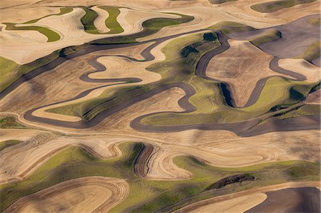 simsearch:6118-07440905,k - Farmland landscape, with ploughed fields and furrows in Palouse, Washington, USA. An aerial view with natural patterns. Photographie de stock - Premium Libres de Droits, Code: 6118-07440481