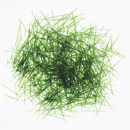 simsearch:6118-07440531,k - Pile of organic wheatgrass on a white background Photographie de stock - Premium Libres de Droits, Code: 6118-07440529