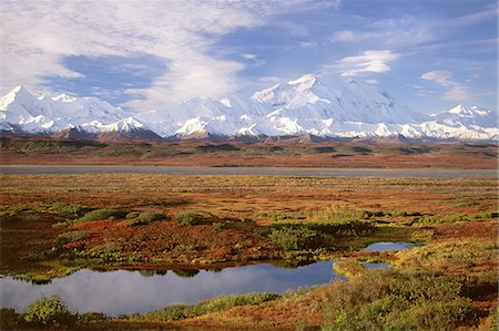 denali national park - Tundra and kettle pond in Denali National Park, Alaska in the fall. Mount McKinley in the background. Stock Photo - Premium Royalty-Free, Code: 6118-07440608