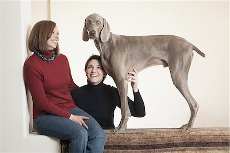 A same sex couple, two women posing with their Weimaraner pedigree dog. Stock Photo - Premium Royalty-Free, Code: 6118-07440850